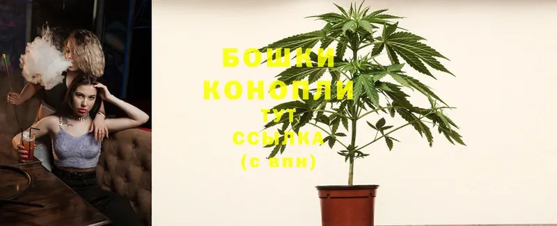 Бошки Шишки Ganja  Анива 